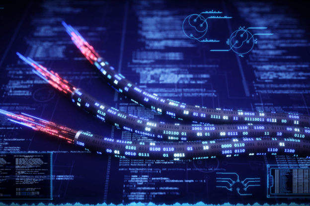 Case Study: Network Infrastructure Cabling for Large Data Centre