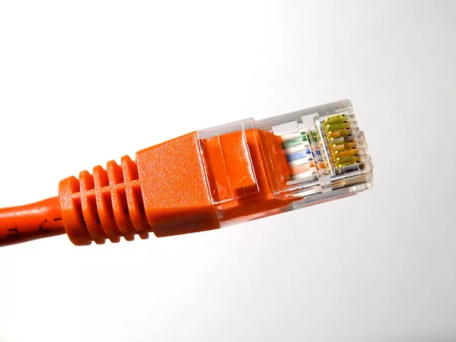 Does Your Business Have Enough Bandwidth?